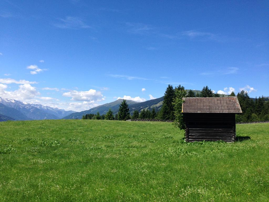 Biobauernhof Kleinummerstall Mittersill Bagian luar foto
